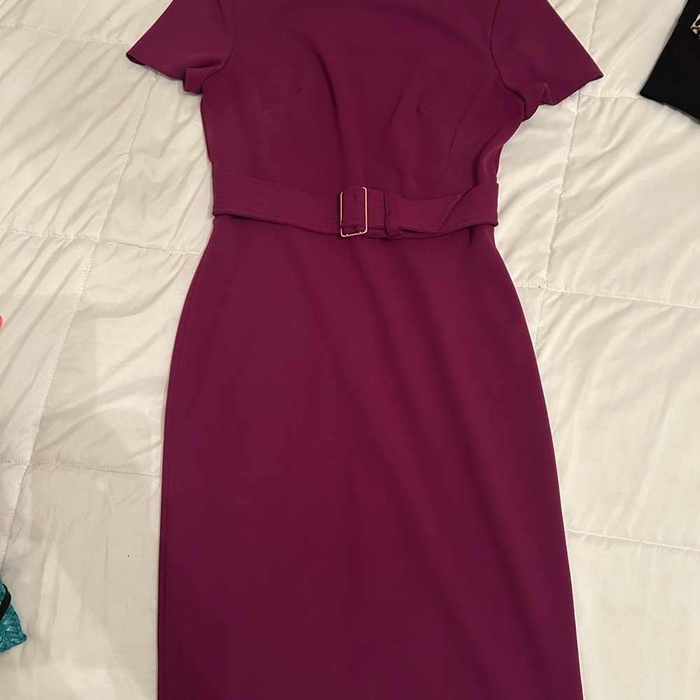 Calvin Klein berry Sheath Dress with short Sleeves